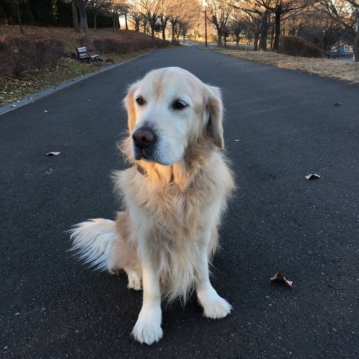 F2a24af2 6e4f 47fb a481 1066e85d425c 1515287430566