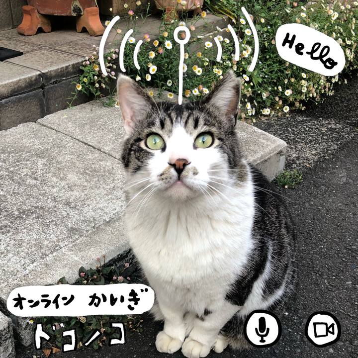 F2a24fa7 b50f 4d32 88a3 ad42d37e5131 1590759164444