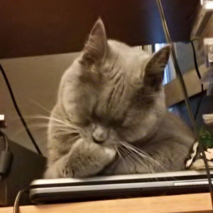 F2a27783 7c4a 4bf8 bd91 975680bb0f7c 1559433438854