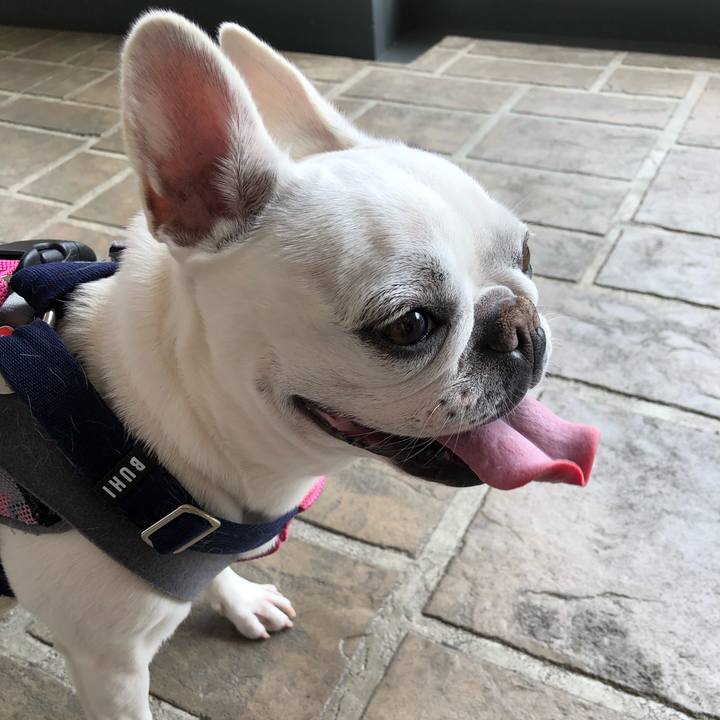 F2a2783e d190 4963 970c ddfa09883750 1605014855191