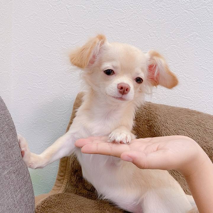 F2a2bbae dce5 40ea 9d61 e5778ce67ba6 1597642278380