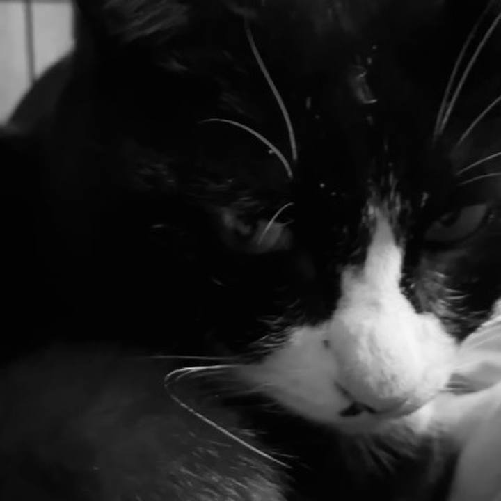 F2a2c98c daad 4340 8eeb a74e6bd9789c 1737538902615