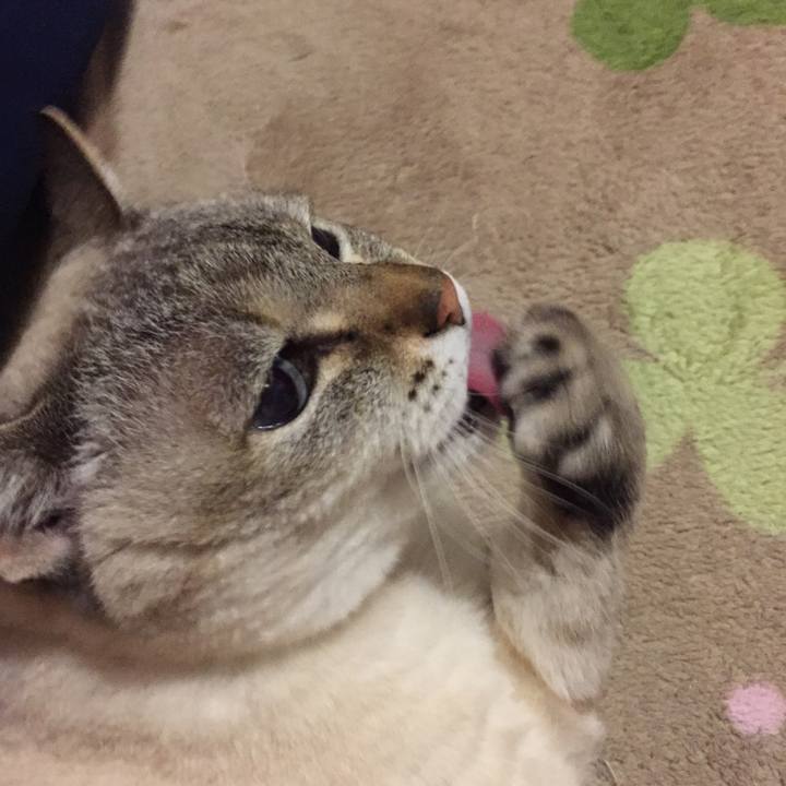 F2a2e275 3c7d 4b0c b371 a2224de90cd3 1548415249517