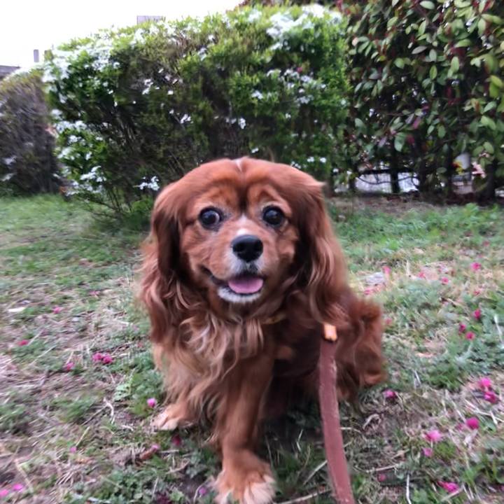 F2a2fec2 2adf 40be bff9 677104ee8a1a 1648253535845