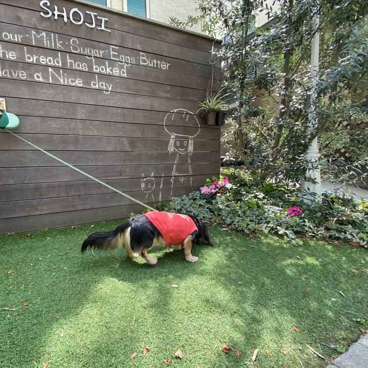 F2a34abd e871 4f97 9697 35e40716779c 1712497980905