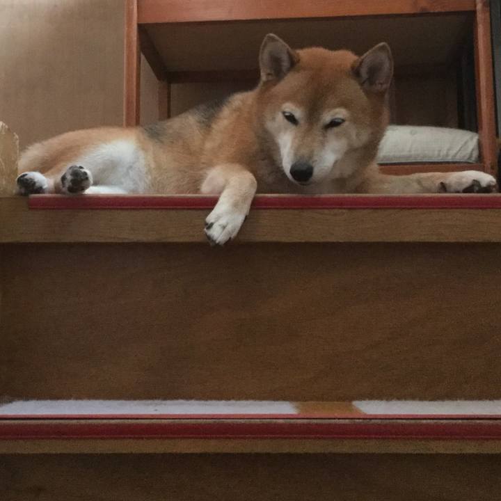 F2a35e07 f73f 4e3c a700 d9f2aadf86de 1595148214451