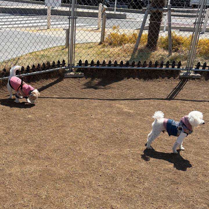 F2a38bec dd19 4c97 9ff3 033c9335bc6d 1773468119747