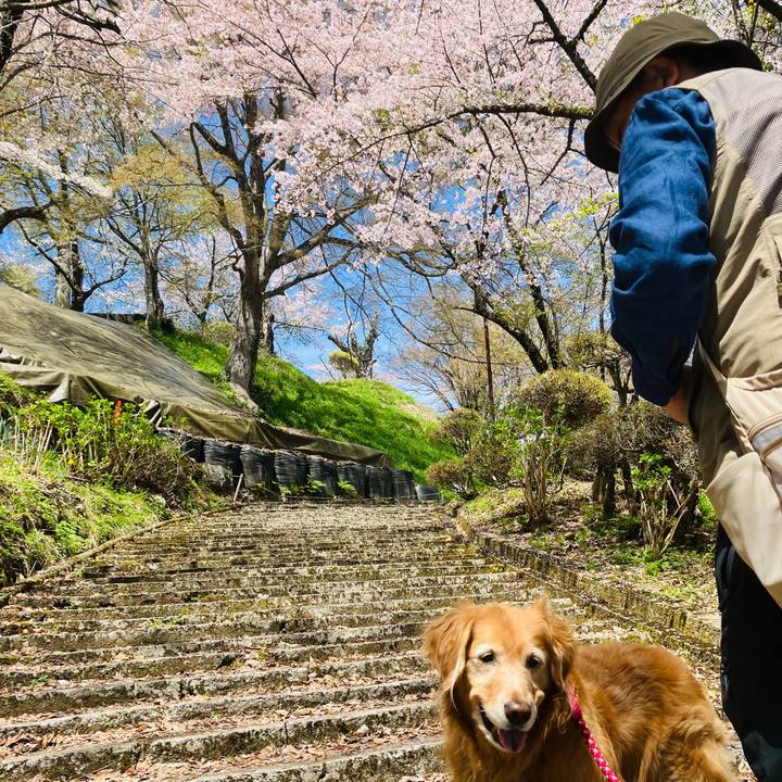 F2a3bece fc11 4704 ba7e 4ab9e26ffde0 1776822717445