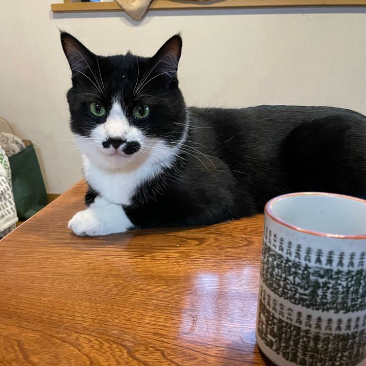 F2a3cebe 2e5e 4e92 bacc 7618671807fa 1669101362575