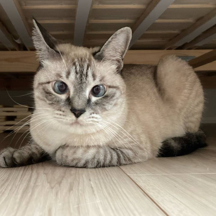 F2a484ea 78f6 49a6 bbd6 45d38e65ee15 1661039432913