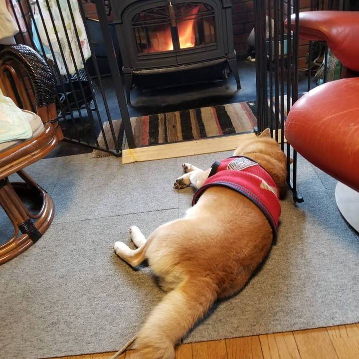 F2a49bac 3fc4 4aaa 8056 b8466b01cf4b 1607832368519