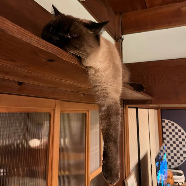 F2a500fa 22d5 4d41 953c 338507b7ee16 1735273212967