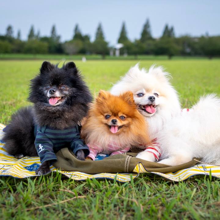 F2a55e4d d85b 4d18 87cb 3b3abd998a80 1567070877579