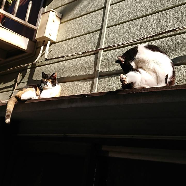 F2a5662f 6010 40b3 8c03 d56926e385dd 1584486988297