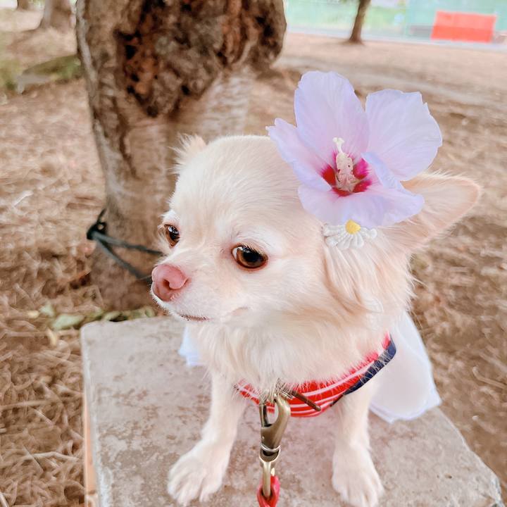 F2a57591 9f97 45b6 8e8c f3d8c1dea6f6 1656907074950