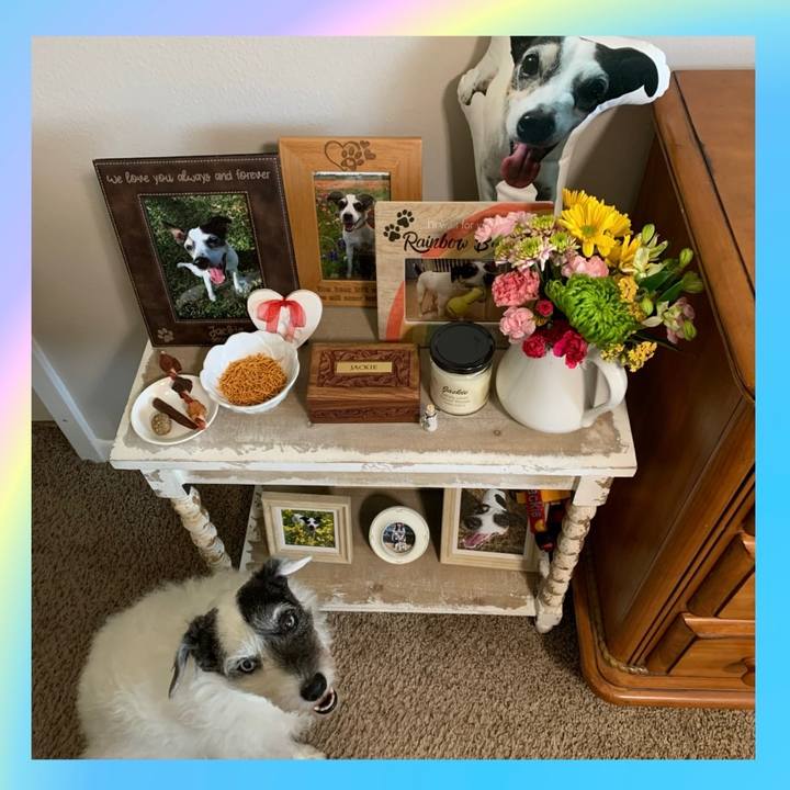 F2a57667 170b 4c81 8a8c 0130e3a754f4 1650335166326