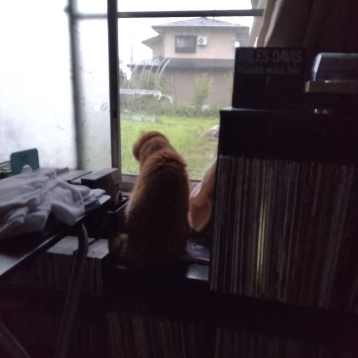 F2a581db 0b10 44c6 b6e8 20d97d276db8 1720994832150