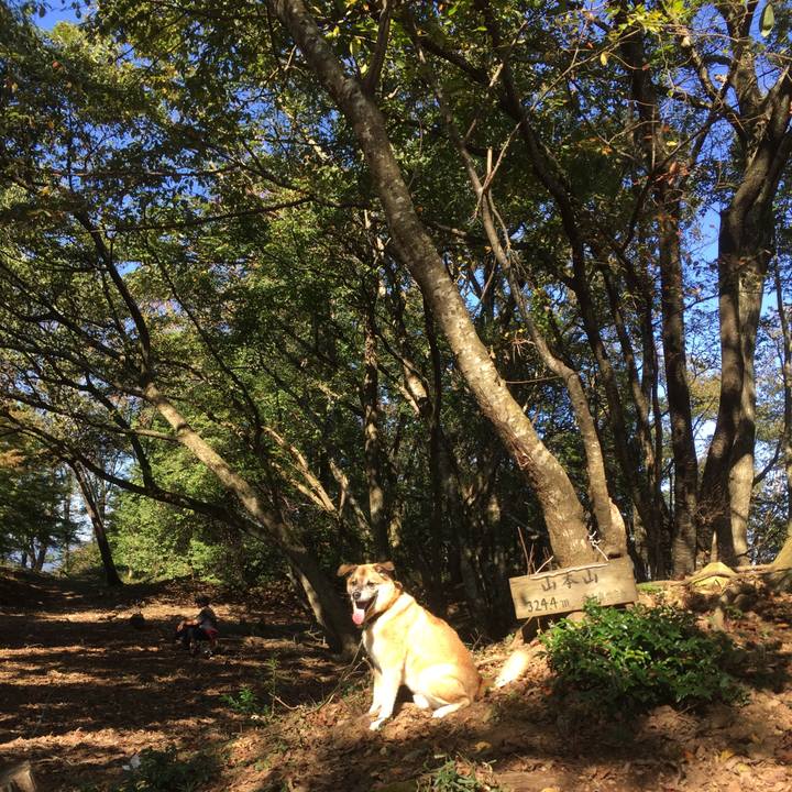 F2a58f00 7444 43de aae7 dee95ad22c5a 1572680267591