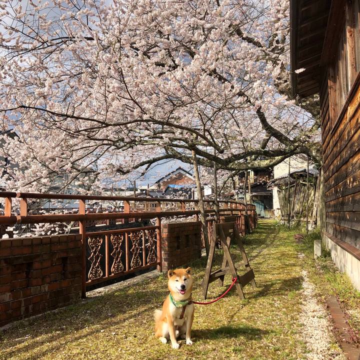 F2a5a77b 22f2 4f6f b072 a461e23d2437 1555056132176