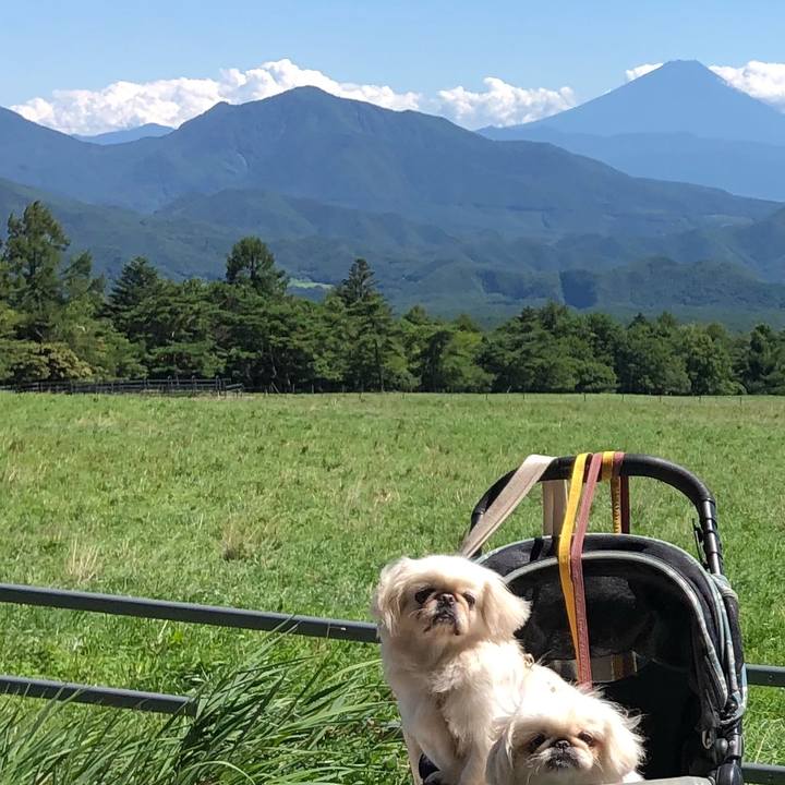 F2a5ab42 8bf1 4f22 8632 d7a6ce3969b4 1534822164478