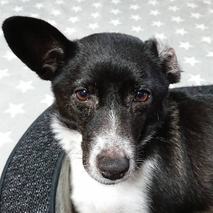 F2a5ea33 f4e3 412b b89e 5294a06daf3c 1542843115703