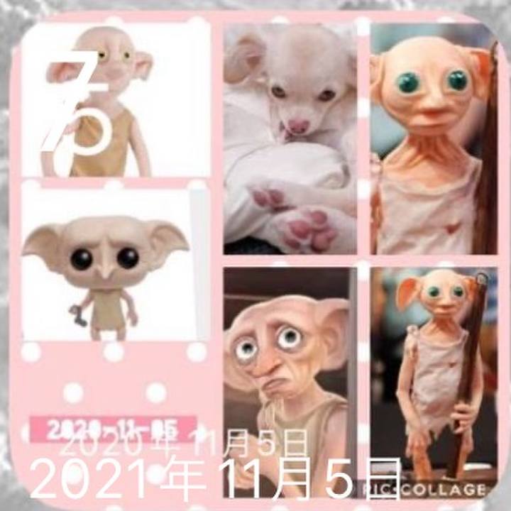 F2a5f3e6 0075 46de 87cc 4218f1c82df0 1699421379675