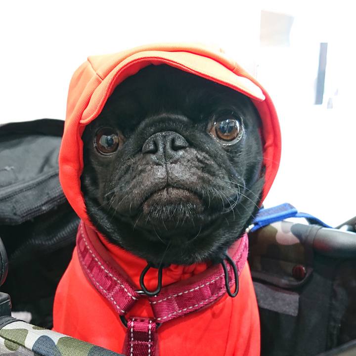 F2a60eed 0262 4d87 a770 097bff4071c3 1713935365731