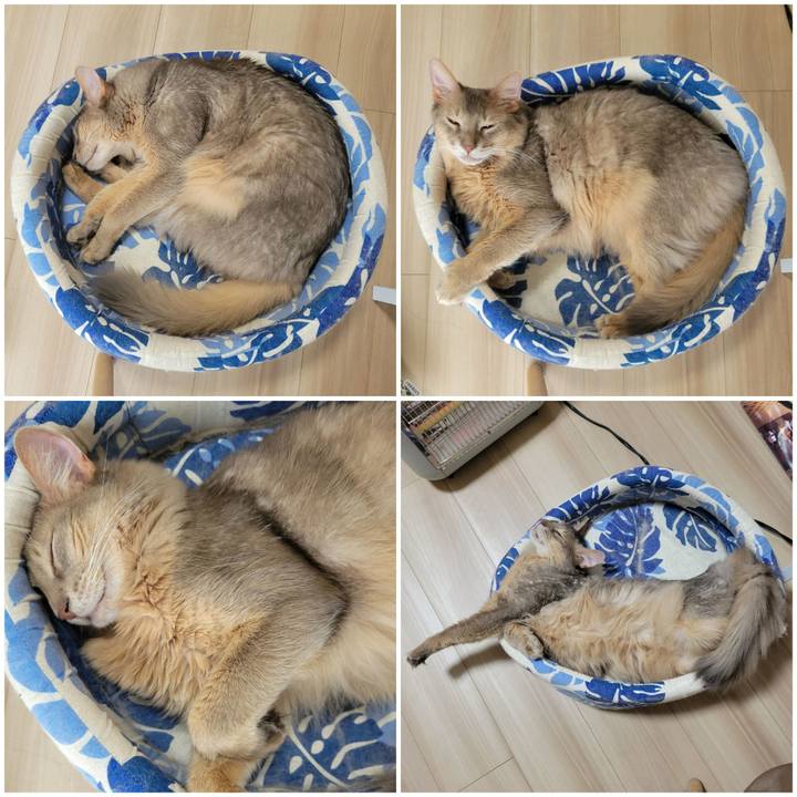 F2a6112b 2128 4453 891a 32bdb4fa83b2 1634702025838