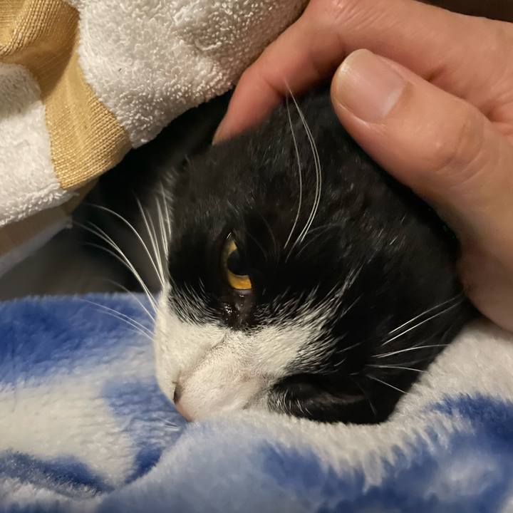 F2a613c2 1165 4b44 9360 fd0af99e13c9 1676975736514