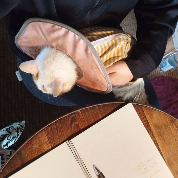 F2a62965 8fa4 4b8f aeda f6745aef4d47 1761867177465