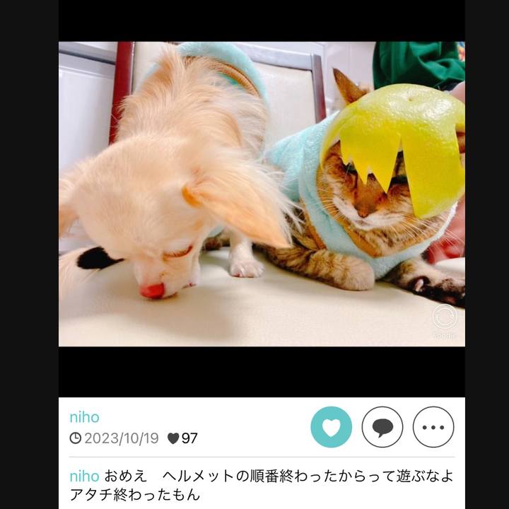 F2a62b61 13a5 475b 8a7a 2165036396d0 1729598192930