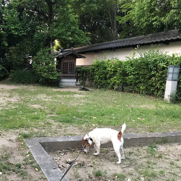 F2a63c4e 146c 4824 969c c0130040c4f1 1558874865160