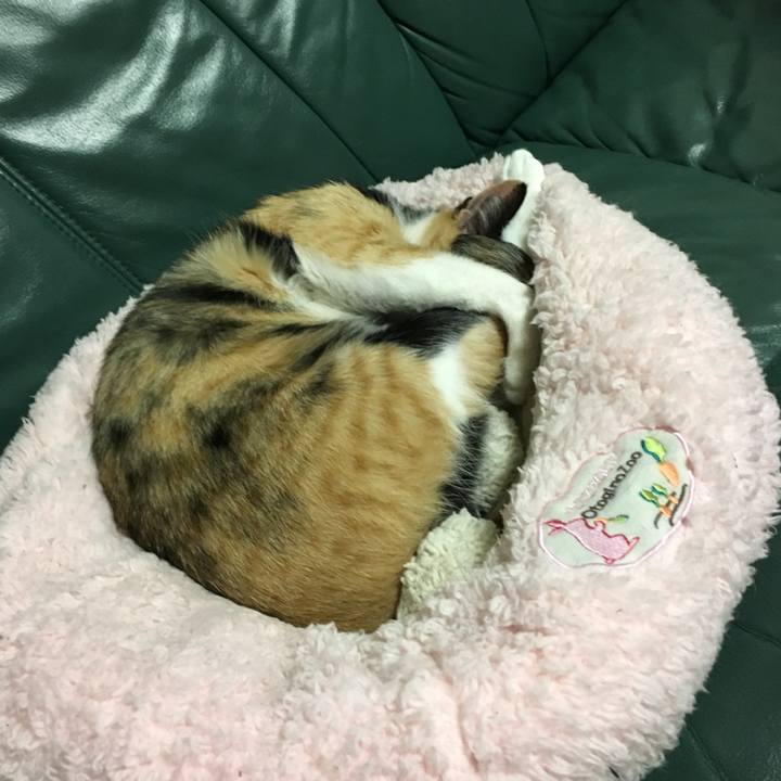 F2a65dfc db44 407f aad5 9ff48c320aac 1510411521416