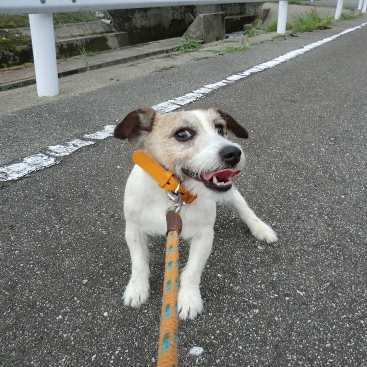 F2a69b76 97a5 4a51 a9dc 7bf810e294e9 1528943115797