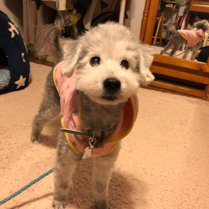 F2a6a1b0 2421 4cfc 8863 f6da149842fa 1605053210981