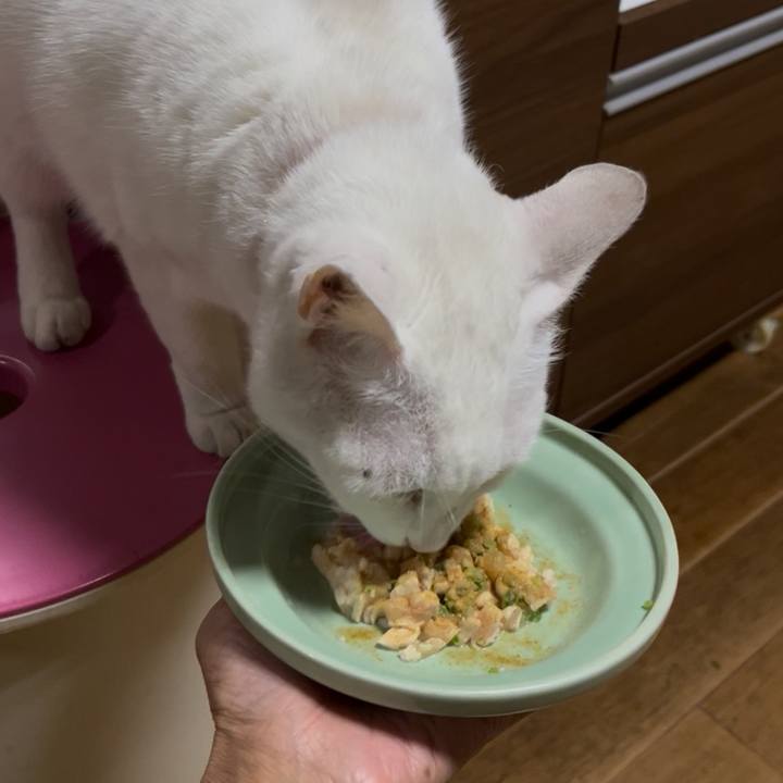 F2a6a59f 2be1 484c 9768 6c30d7fccb13 1768048584419