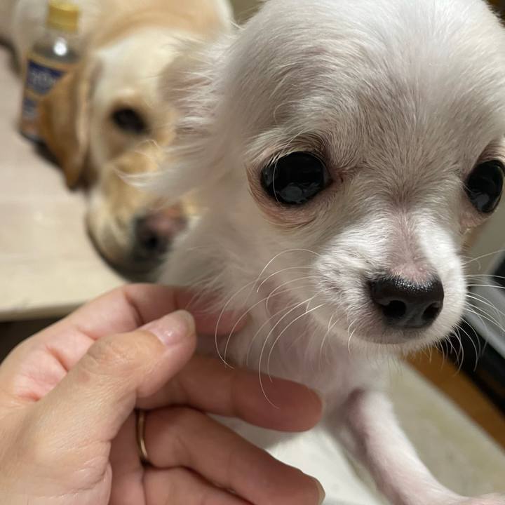 F2a6d168 30d6 4e2c b8d5 46e3c1f8d271 1672747344764