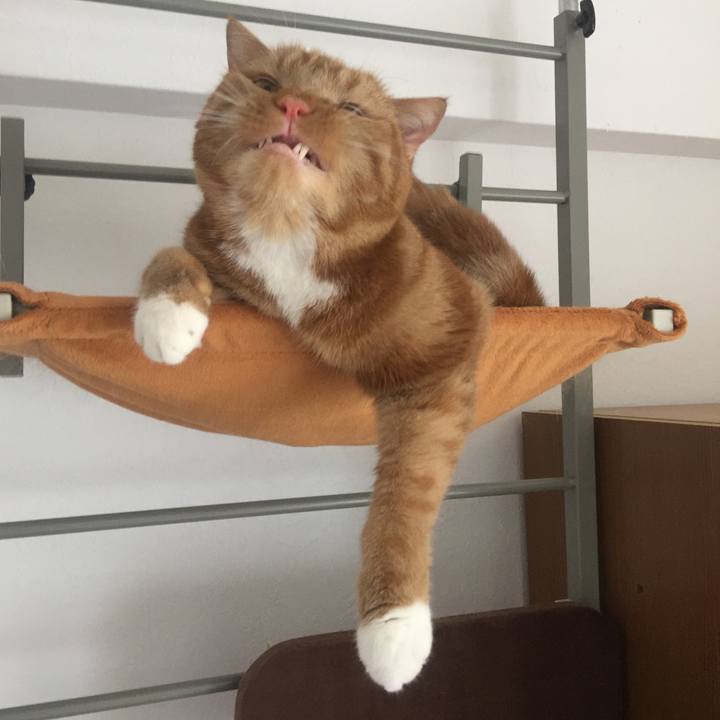 F2a6da27 a92d 4392 a41b 16b09627ad2b 1531778055736