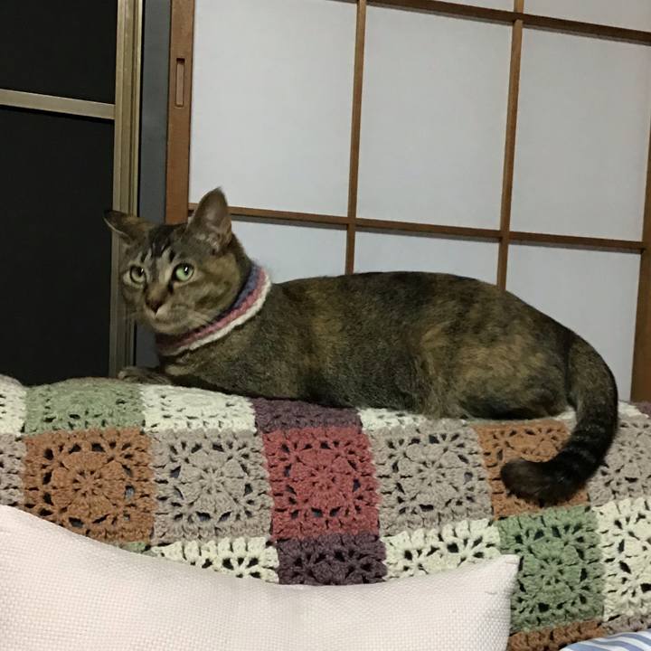 F2a70358 6fbf 4b29 82e3 13288f6dc392 1621767152338