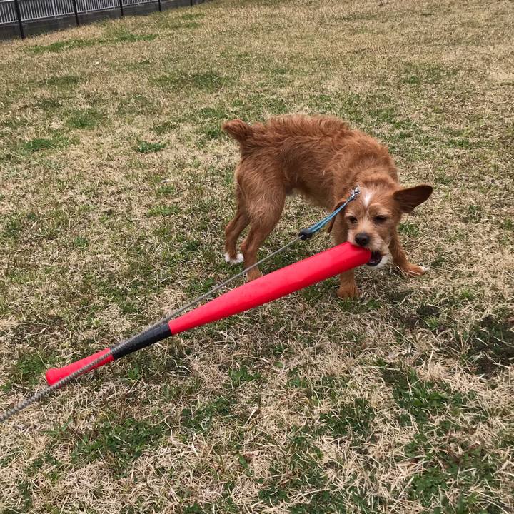 F2a74fec 7729 4493 bf4a 1b4bb07795b2 1585706161169