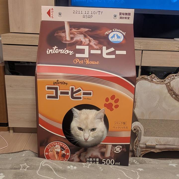 F2a75db9 0521 4bcd 944b 81992fa150db 1773138338055