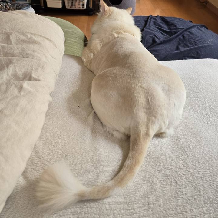 F2a77a4d 7a1d 4913 aaf4 0e9eb1fb3607 1750653491728