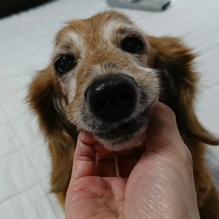 F2a78fb3 2413 4deb affa d479801ff680 1507612479661