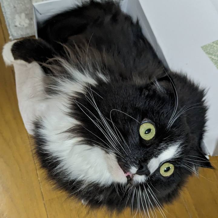 F2a7a305 3753 4979 aa04 2009dfaf6e4c 1712660908836