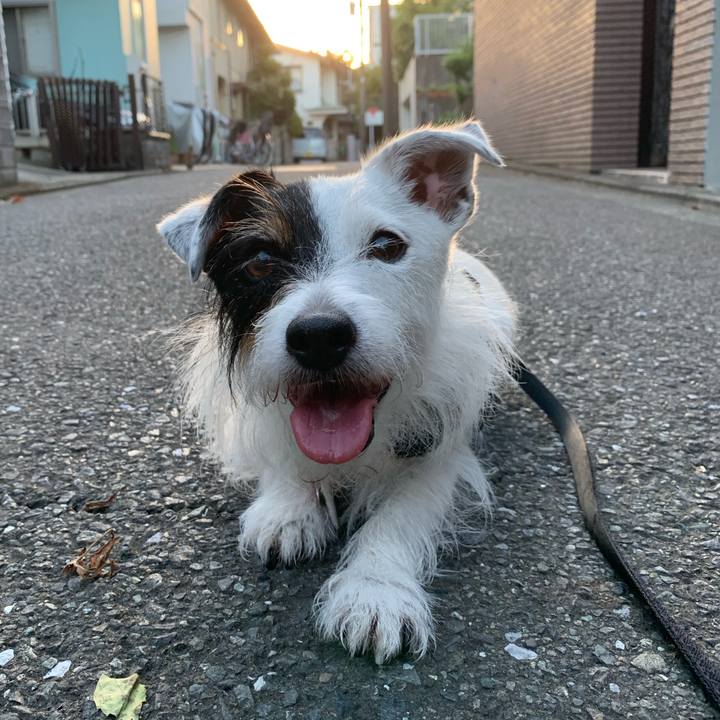 F2a7a7e6 d5e1 4c73 9358 f33231e1be53 1692264818242