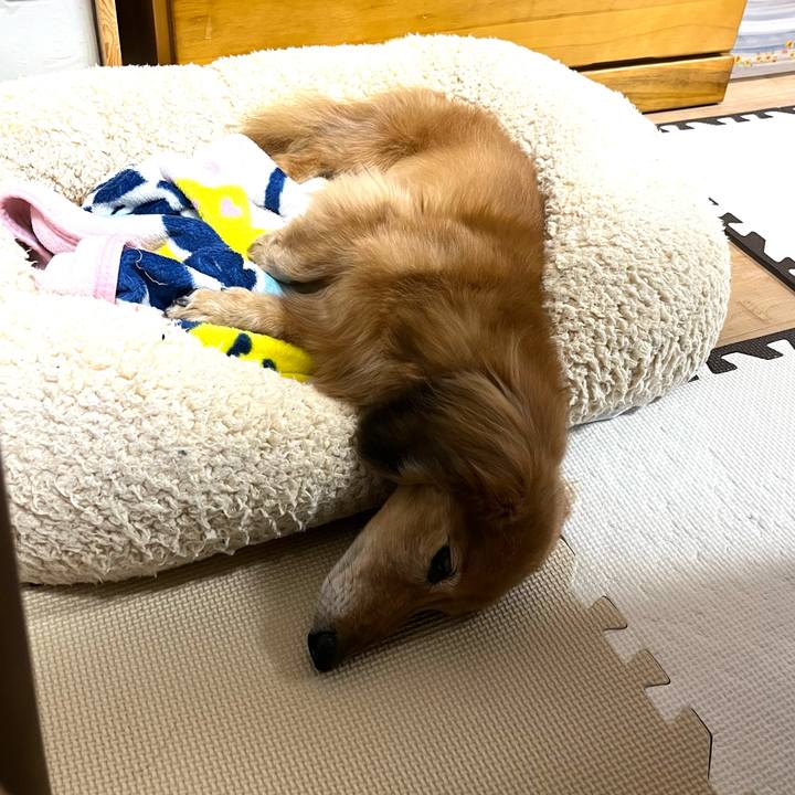 F2a7ab85 bdaa 40b4 8aa6 7ae337c3b22b 1673264583170