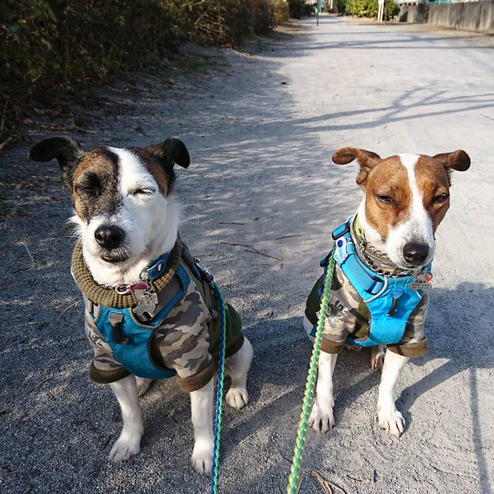 F2a7c5ac 018f 483c 81d3 b4fc477a6e19 1609042141252