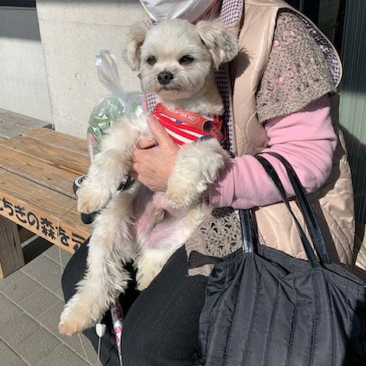 F2a7d5d5 a47b 4800 8e2a 1cf672dcc7bd 1648800852049