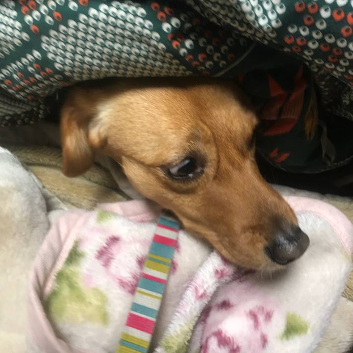 F2a849c3 2d9d 405b 9426 c90eec74fad2 1552827050052