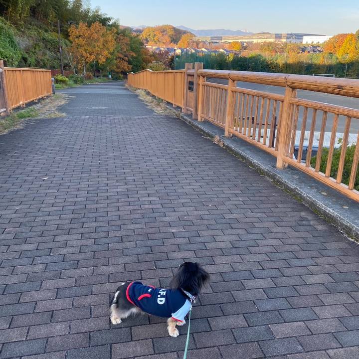 F2a89221 c046 40df ac40 8c1bc3c840e2 1763940262407